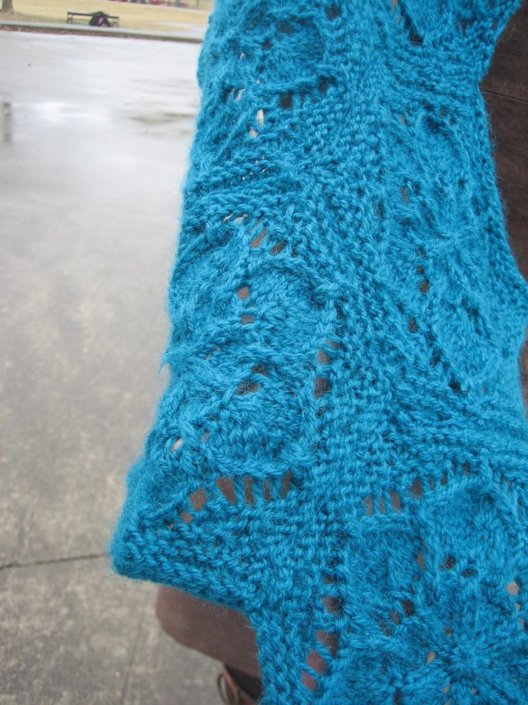 Sempervivrum Shawl. close up